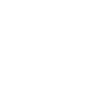 CSS